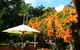 African Cottage, The Rondawel, Kalahari Cottage And Cape Cottage - thumb 0